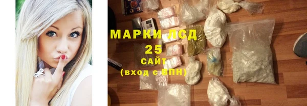хмурый Верея